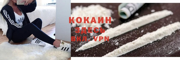 круглые Карпинск