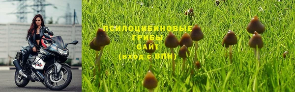круглые Карпинск